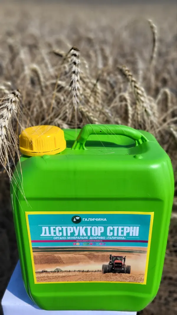 Деструктор стерні Галичина